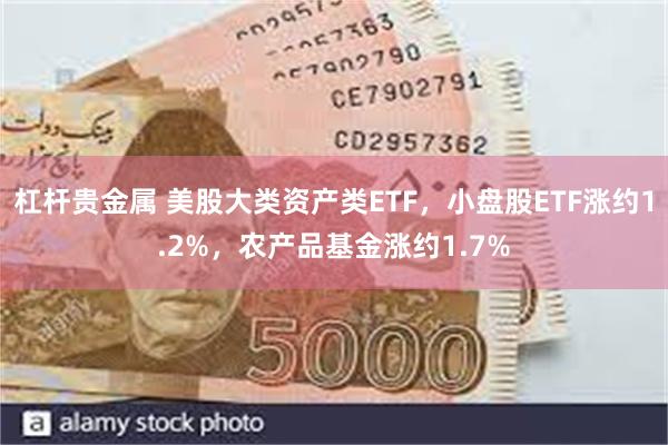 杠杆贵金属 美股大类资产类ETF，小盘股ETF涨约1.2%，农产品基金涨约1.7%