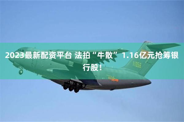 2023最新配资平台 法拍“牛散” 1.16亿元抢筹银行股！