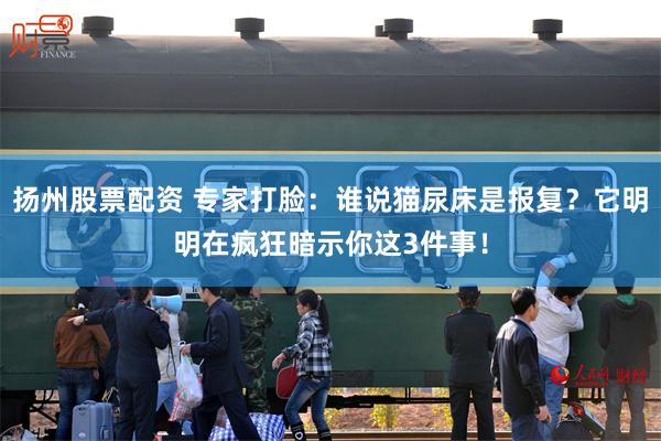 扬州股票配资 专家打脸：谁说猫尿床是报复？它明明在疯狂暗示你这3件事！