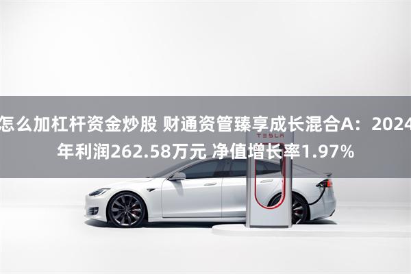 怎么加杠杆资金炒股 财通资管臻享成长混合A：2024年利润262.58万元 净值增长率1.97%