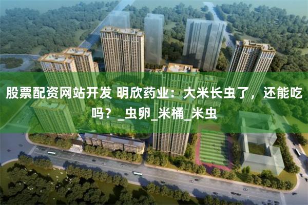 股票配资网站开发 明欣药业：大米长虫了，还能吃吗？_虫卵_米桶_米虫