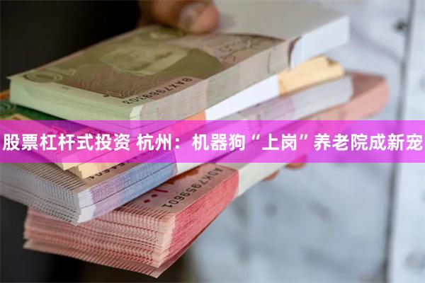 股票杠杆式投资 杭州：机器狗“上岗”养老院成新宠