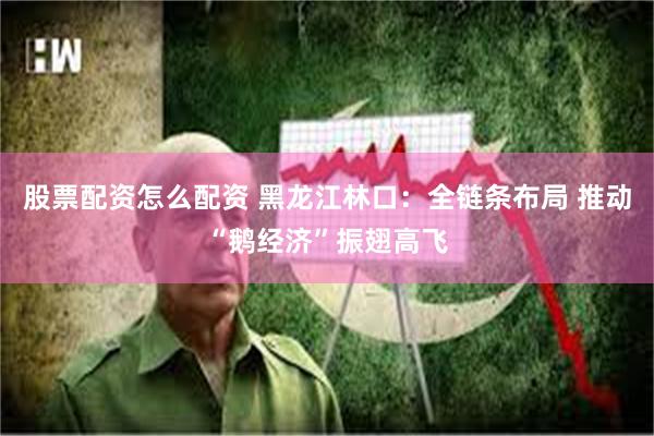 股票配资怎么配资 黑龙江林口：全链条布局 推动“鹅经济”振翅高飞