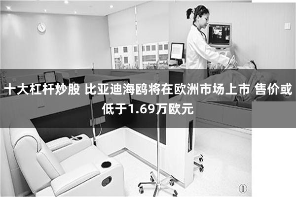 十大杠杆炒股 比亚迪海鸥将在欧洲市场上市 售价或低于1.69万欧元
