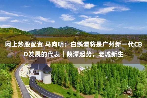 网上炒股配资 马向明：白鹅潭将是广州新一代CBD发展的代表｜鹅潭起势，老城新生