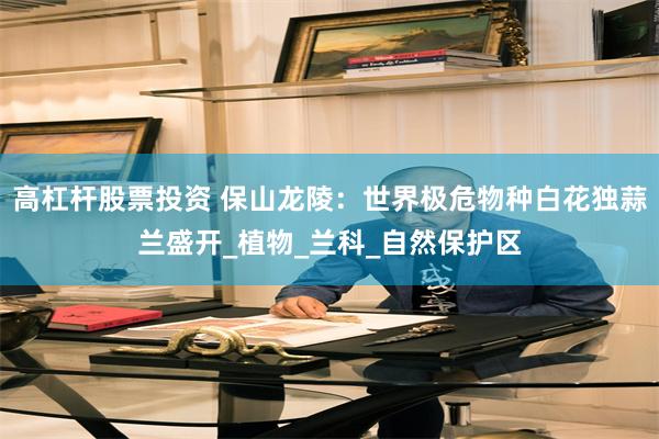 高杠杆股票投资 保山龙陵：世界极危物种白花独蒜兰盛开_植物_兰科_自然保护区