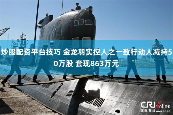 炒股配资平台技巧 金龙羽实控人之一致行动人减持50万股 套现863万元