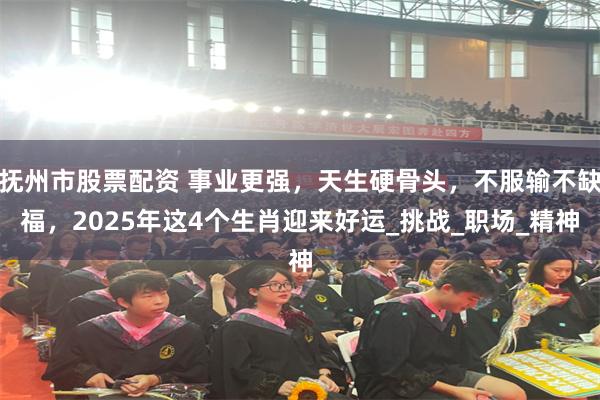 抚州市股票配资 事业更强，天生硬骨头，不服输不缺福，2025年这4个生肖迎来好运_挑战_职场_精神