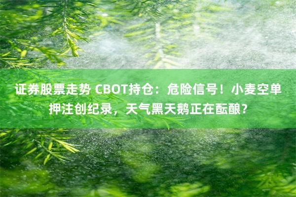 证券股票走势 CBOT持仓：危险信号！小麦空单押注创纪录，天气黑天鹅正在酝酿？
