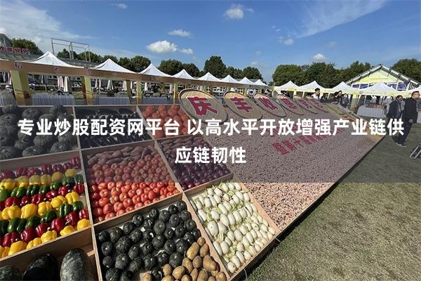 专业炒股配资网平台 以高水平开放增强产业链供应链韧性