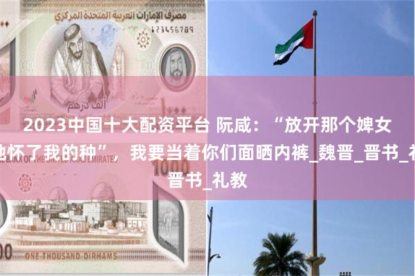 2023中国十大配资平台 阮咸：“放开那个婢女，她怀了我的种”，我要当着你们面晒内裤_魏晋_晋书_礼教