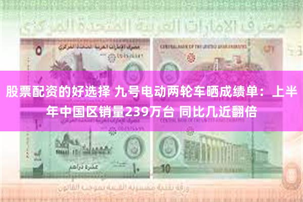 股票配资的好选择 九号电动两轮车晒成绩单：上半年中国区销量239万台 同比几近翻倍