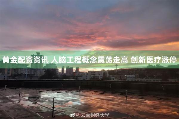 黄金配资资讯 人脑工程概念震荡走高 创新医疗涨停