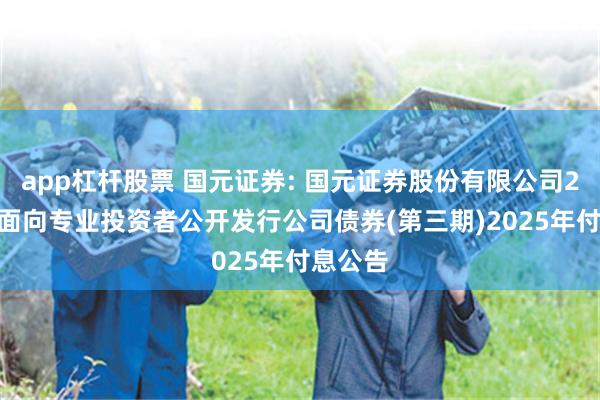 app杠杆股票 国元证券: 国元证券股份有限公司2024年面向专业投资者公开发行公司债券(第三期)2025年付息公告