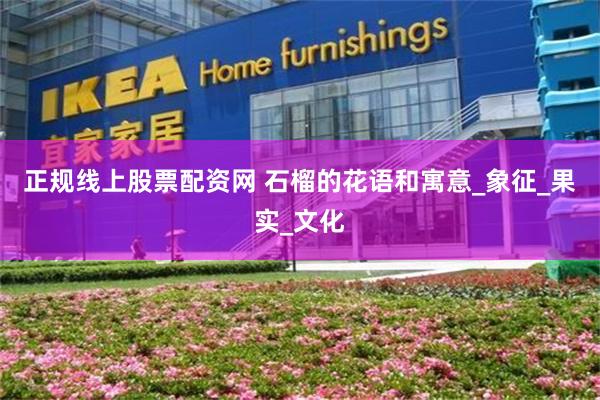 正规线上股票配资网 石榴的花语和寓意_象征_果实_文化